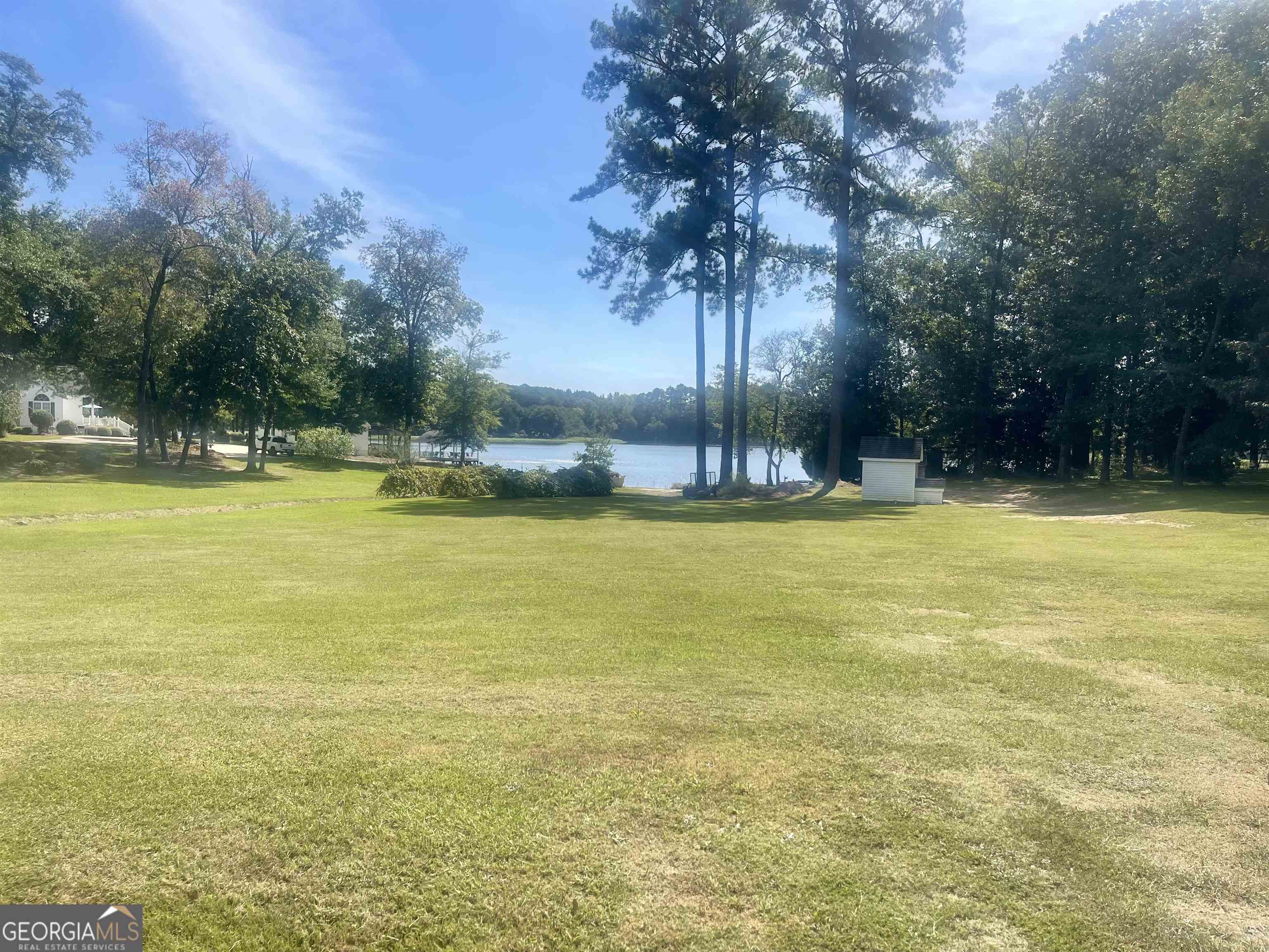 0 Lewis Mill Road Vienna, GA 31092 - Photo 1 of 1 Gallery Image 1