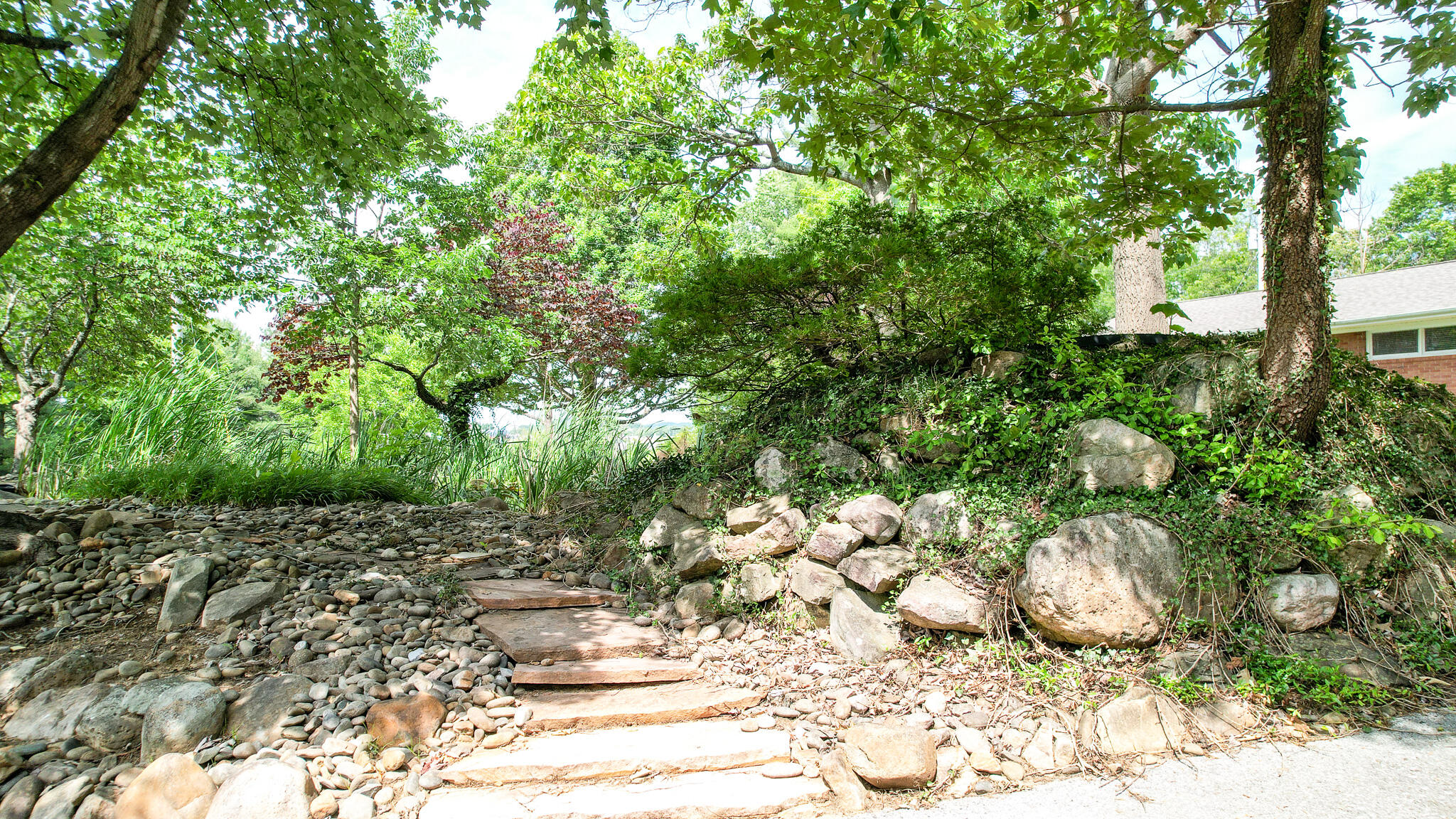 103 Wayside Lane Greeneville, TN 37745 - Photo 18 of 69 DJI_0792