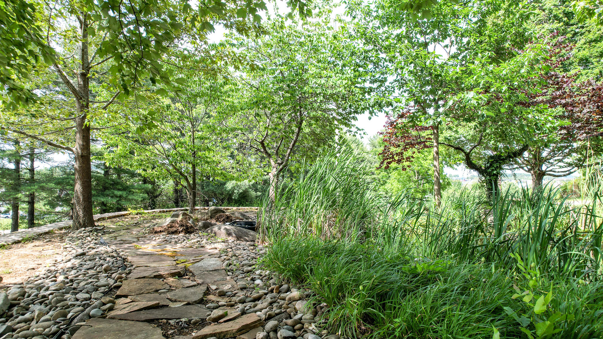 103 Wayside Lane Greeneville, TN 37745 - Photo 19 of 69 DJI_0795
