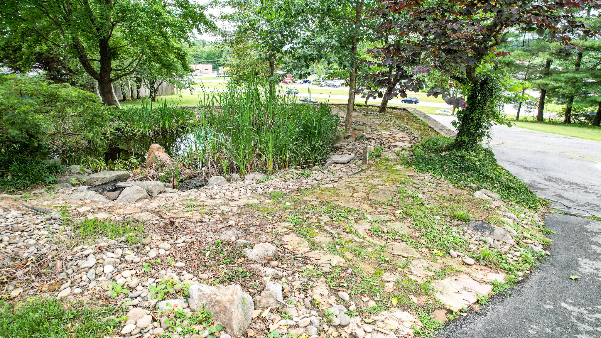 103 Wayside Lane Greeneville, TN 37745 - Photo 21 of 69 DJI_0253