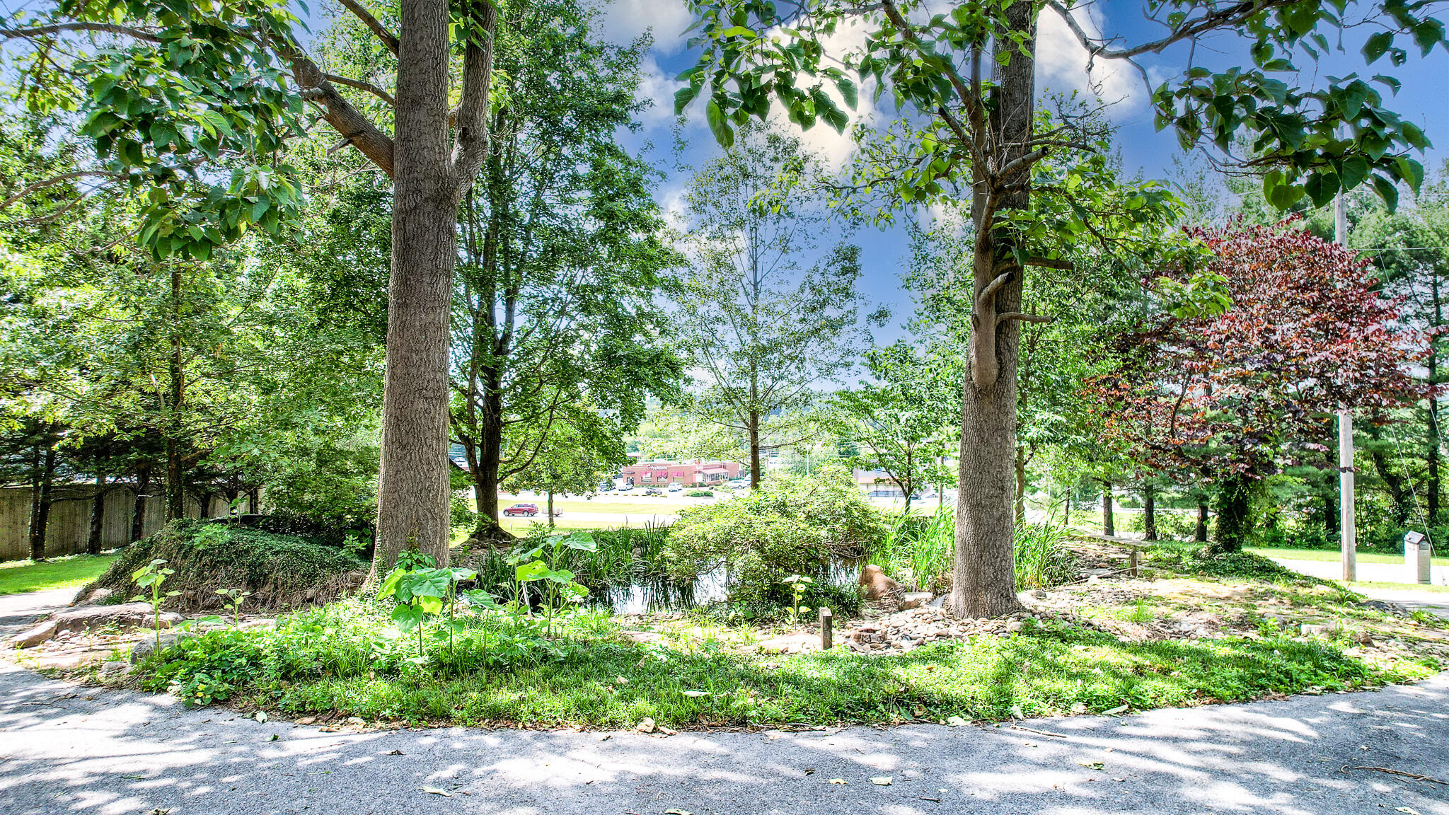 103 Wayside Lane Greeneville, TN 37745 - Photo 25 of 69 DJI_0802-Edit