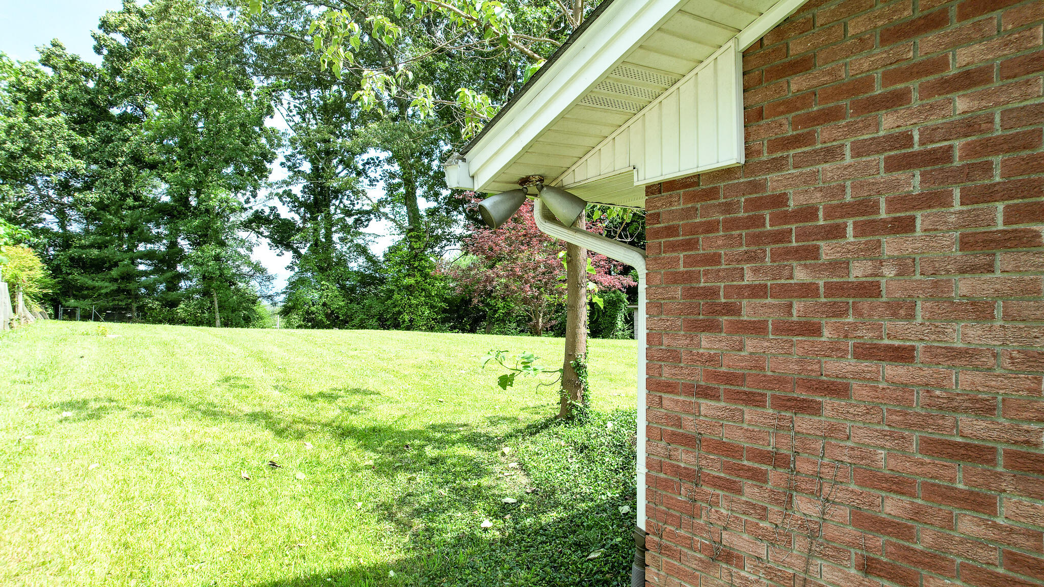 103 Wayside Lane Greeneville, TN 37745 - Photo 26 of 69 DJI_0803