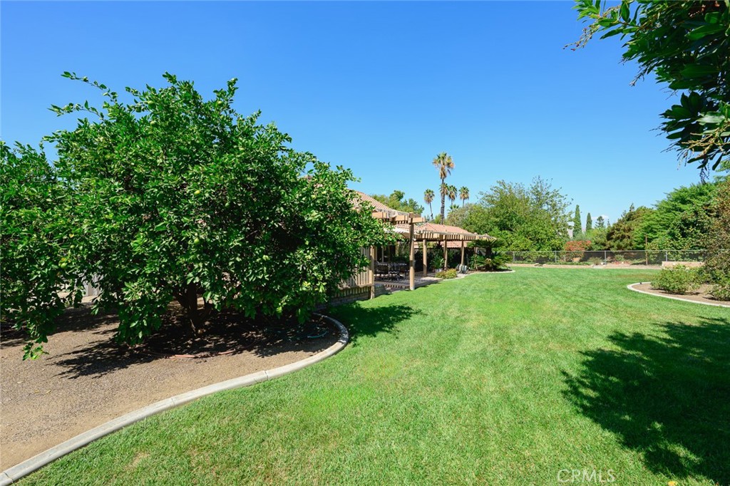 5872 Shaker Drive Riverside, CA 92506 - Photo 67 of 74 large back yard