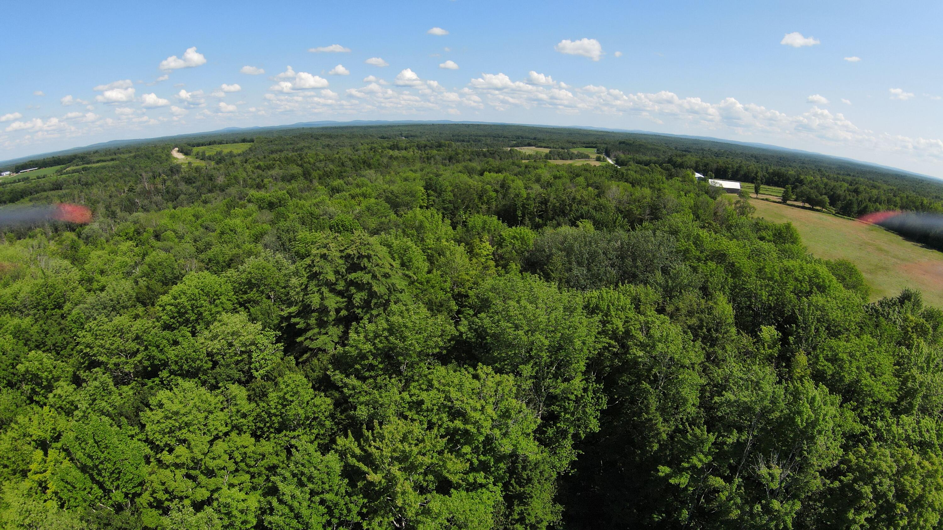 273 Snakeroot Road Pittsfield, ME 04967 - Photo 7 of 17 DJI_0673
