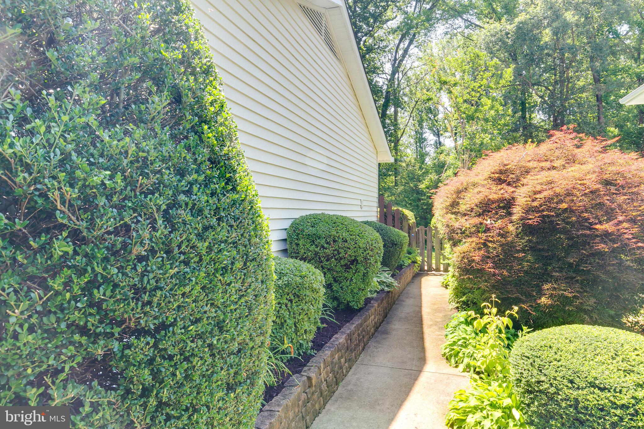 7007 Barnacle Place Burke, VA 22015 - Photo 38 of 49 a view of a garden with pathway