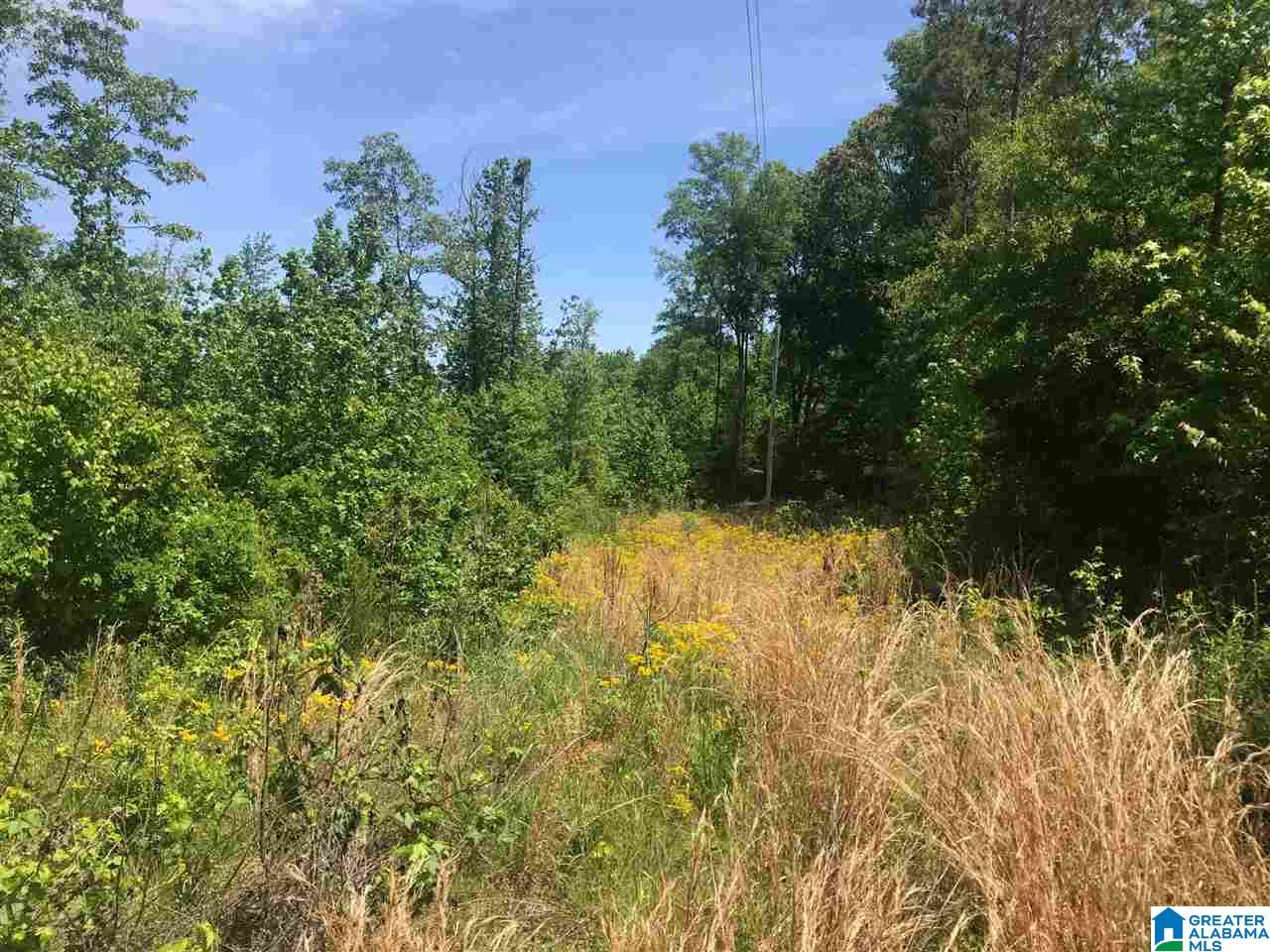 Firehouse Road, Unit 21 Goodwater, AL 35072 - Photo 4 of 21
