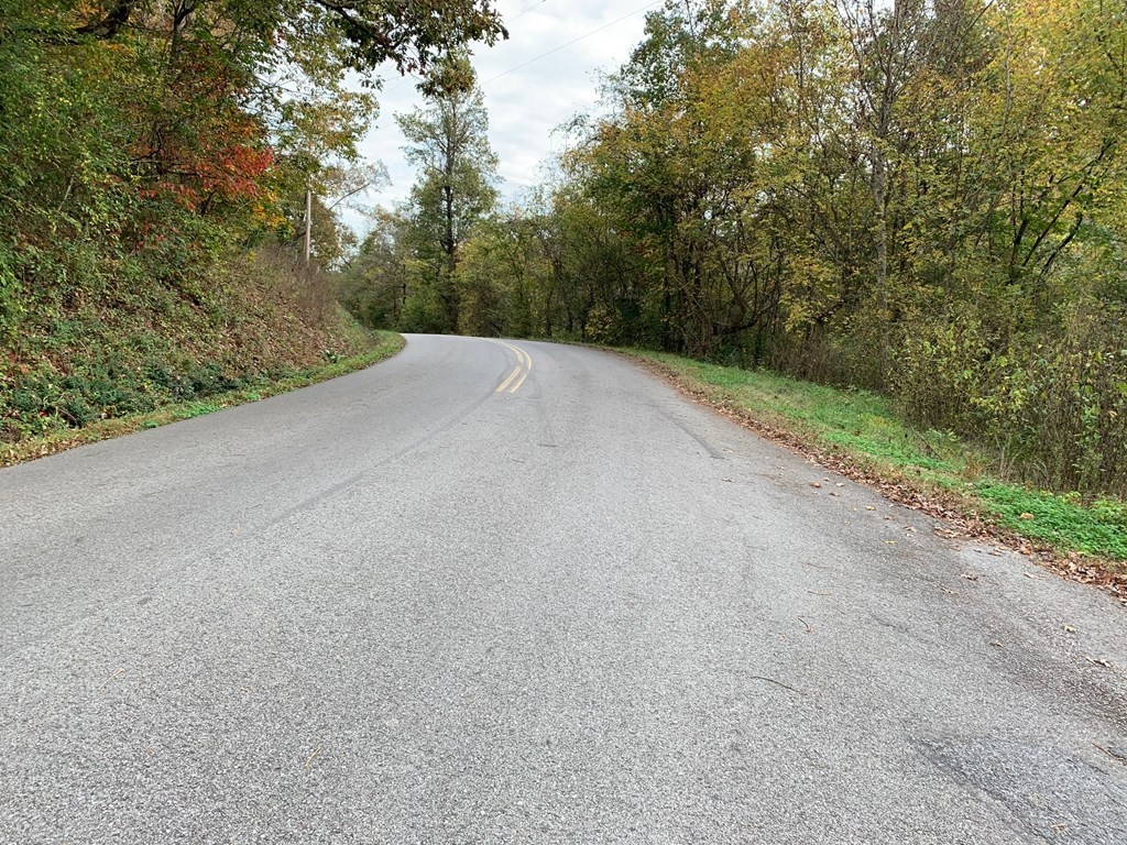 0 Woods Hollow Road Decatur, TN 37322 - Photo 9 of 12 Gallery Image 9