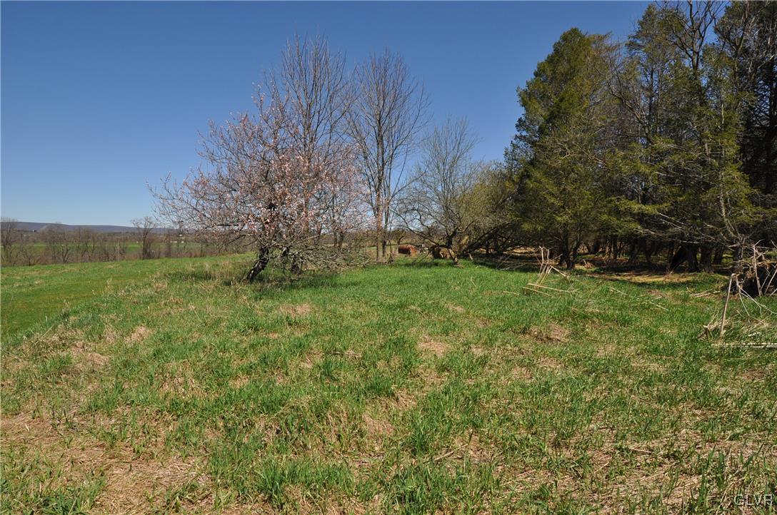 205 Longley Road Nazareth, PA 18064 - Photo 14 of 23 a view of a field with large trees