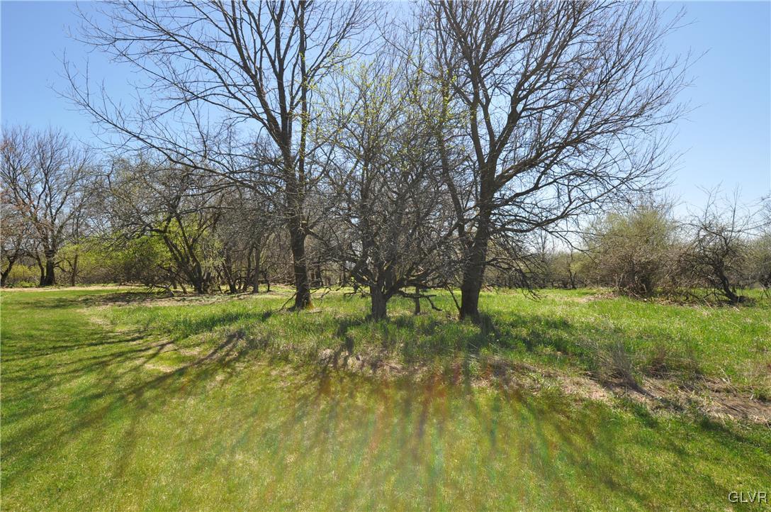 205 Longley Road Nazareth, PA 18064 - Photo 16 of 23 a view of backyard with green space