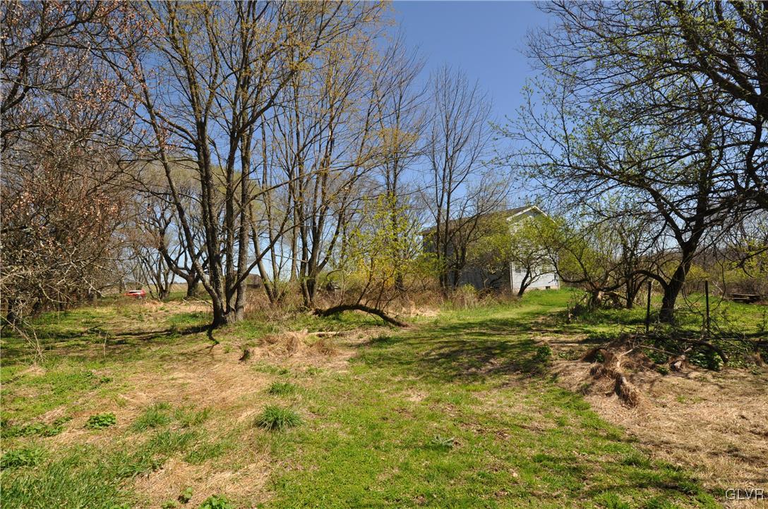 205 Longley Road Nazareth, PA 18064 - Photo 20 of 23 a backyard of a house with trees and plants
