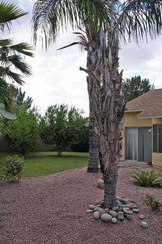 6241 East Justine Road Scottsdale, AZ 85254 - Photo 1 of 6 Primary Photo