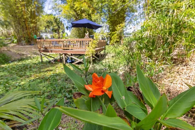 $749,900 | 6816 Greengrove Boulevard, Clermont, FL 34714