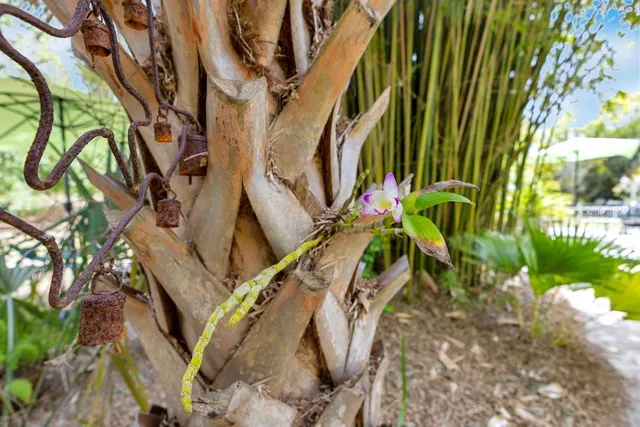 $749,900 | 6816 Greengrove Boulevard, Clermont, FL 34714