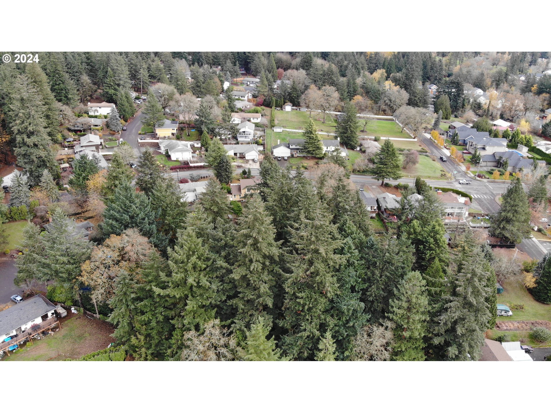 Southeast Hillcrest Road Happy Valley, OR 97086 - Photo 15 of 15 a upper view of a city