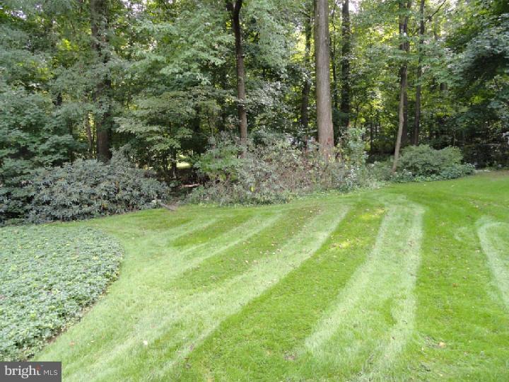 536 Upper Weadley Road Wayne, PA 19087 - Photo 13 of 13 Exterior Back