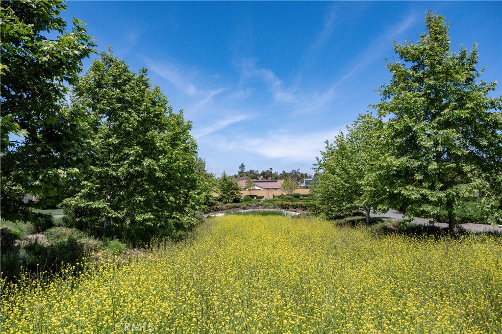 29773 Bridlegate Way Menifee, CA 92584 - Photo 46 of 57