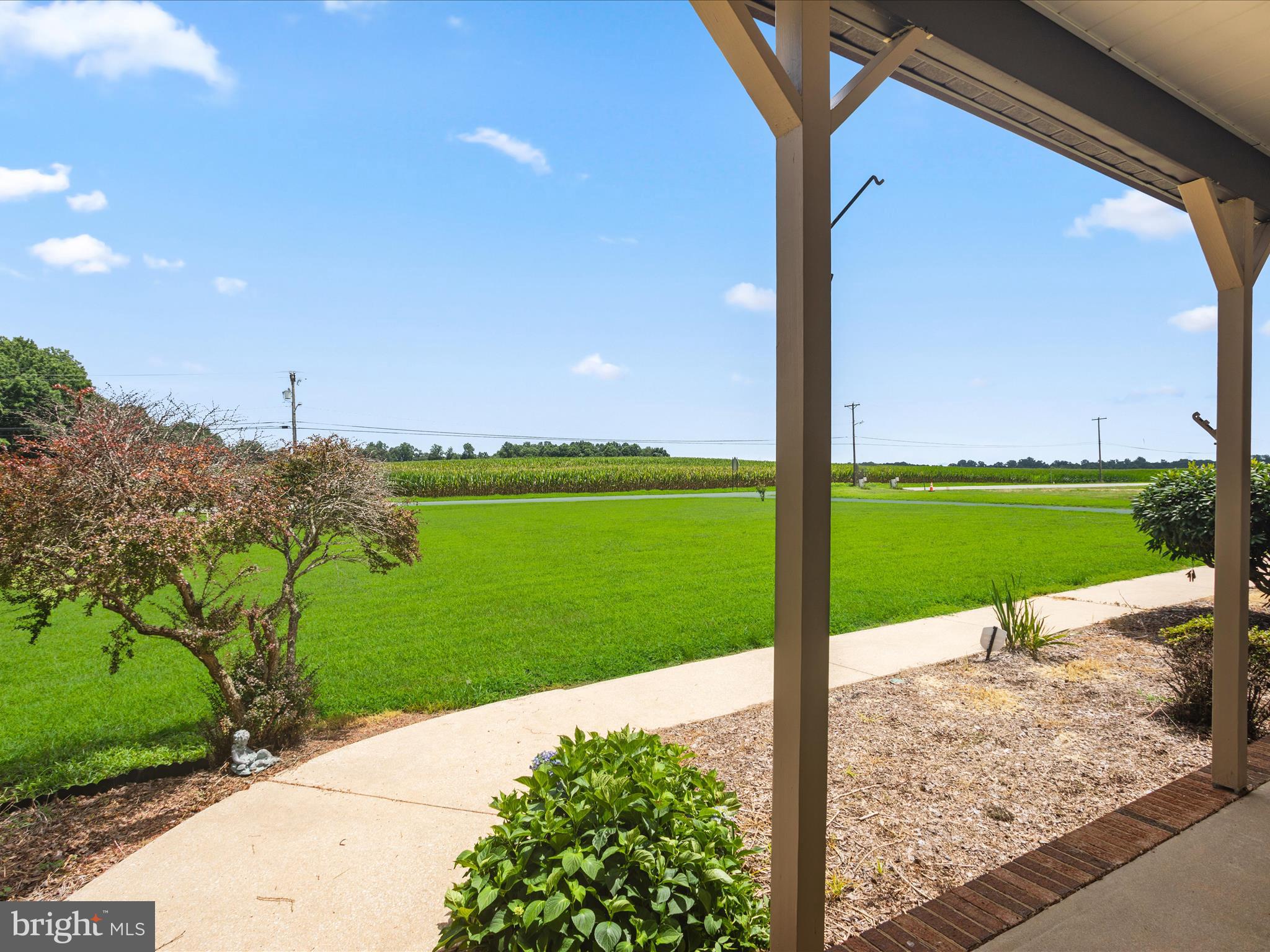 Front Porch View