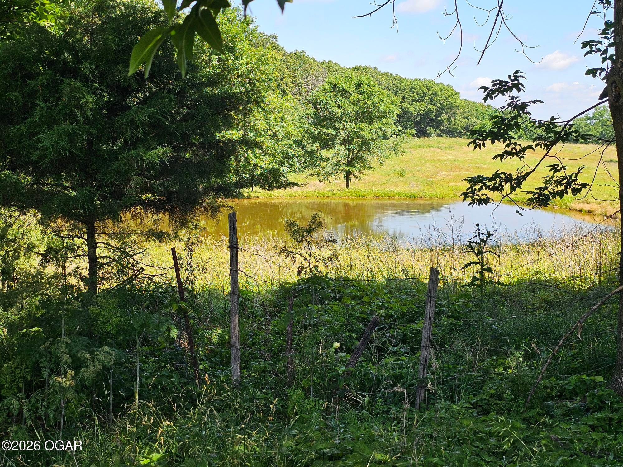 5383 Cowan Ridge Road Powell, MO 65730 - Photo 17 of 33 cowin ridge pic land 3