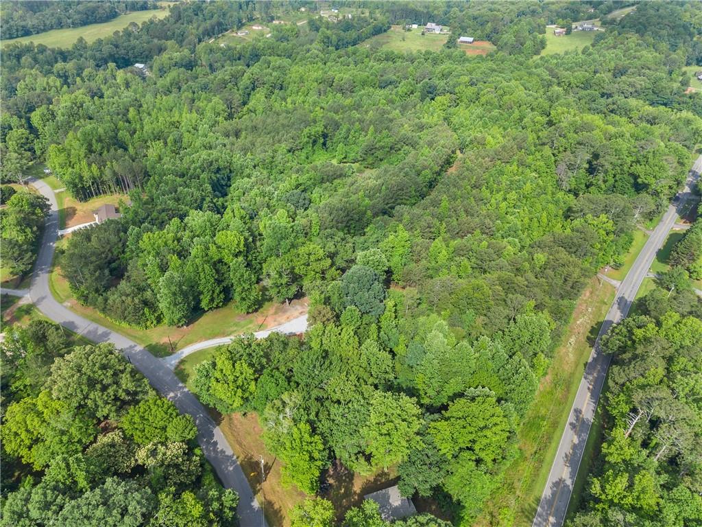 0 Yellow Creek Road Murrayville, GA 30564 - Photo 12 of 22 a view of a lush green forest with lawn chairs and plants