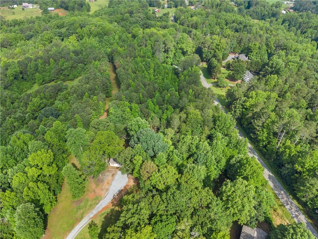 0 Yellow Creek Road Murrayville, GA 30564 - Photo 18 of 22 a view of a lush green forest with lots of trees