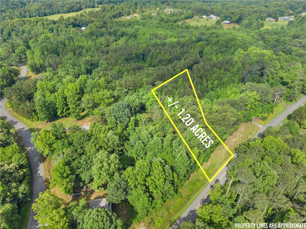 0 Yellow Creek Road Murrayville, GA 30564 - Photo 21 of 22 a view of a yard