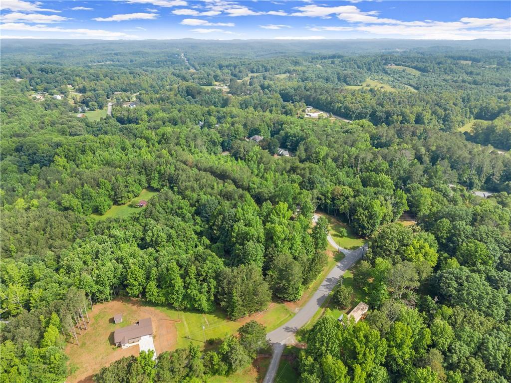 0 Yellow Creek Road Murrayville, GA 30564 - Photo 4 of 22 a view of a city with lush green forest