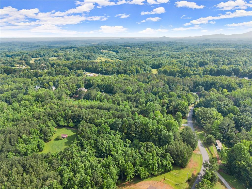 0 Yellow Creek Road Murrayville, GA 30564 - Photo 5 of 22 an aerial view of residential houses with outdoor space and trees