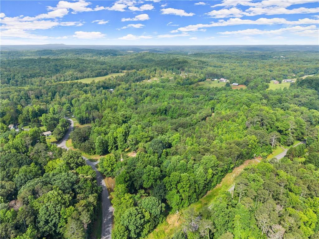 0 Yellow Creek Road Murrayville, GA 30564 - Photo 8 of 22 a view of a field with an ocean