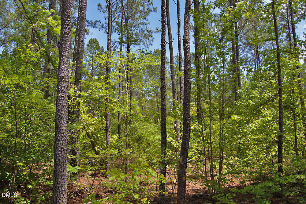 M M G F Ball Road Louisburg, NC 27549 - Photo 2 of 10