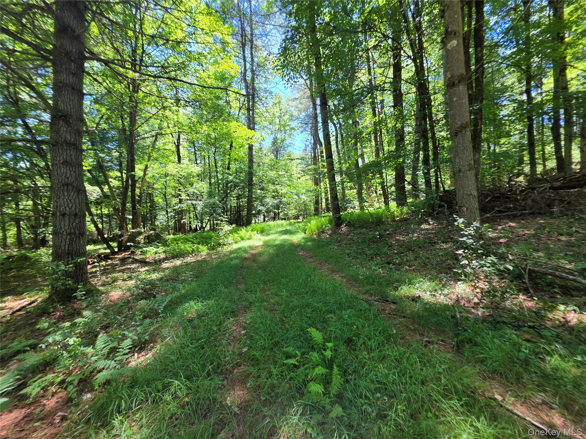 Tbd Camp Kennybrook Road Monticello, NY 12701 - Photo 17 of 34