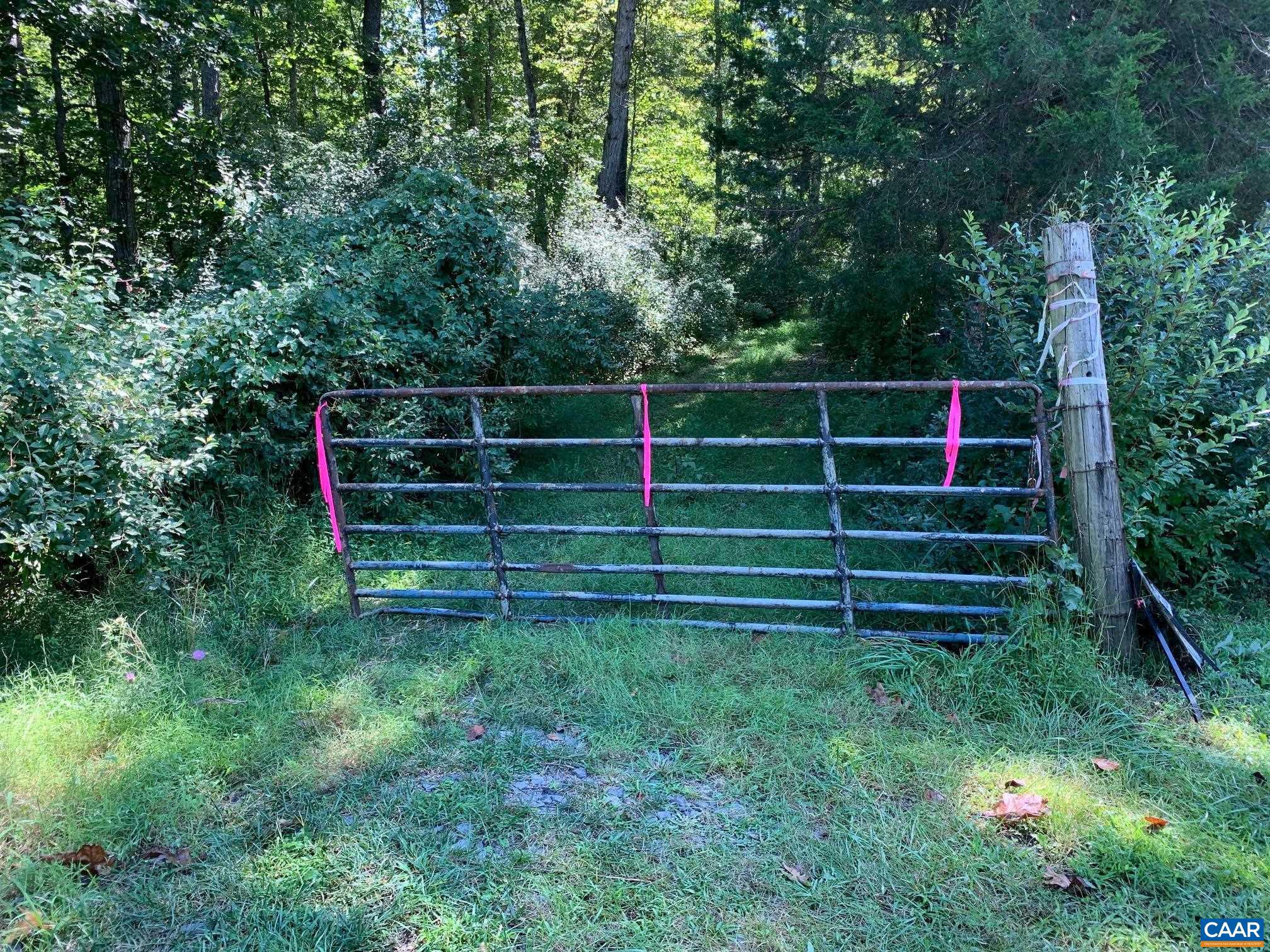 a view of a backyard with plants and wooden fence