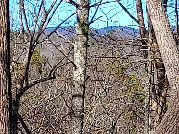 $63,400 | 5354 West Ridge Drive, Ferguson, NC 28624