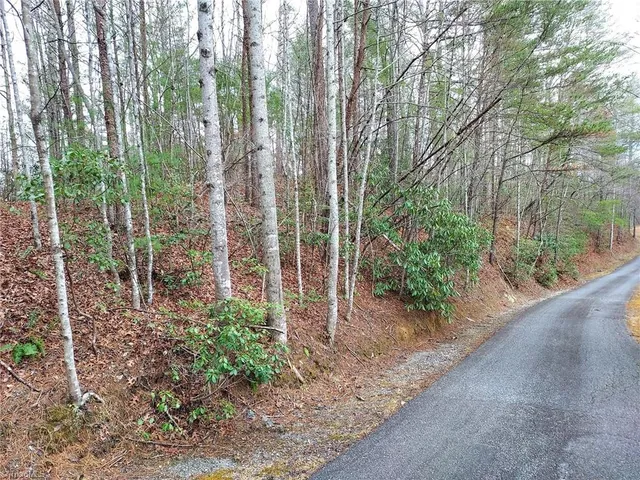 $63,400 | 5354 West Ridge Drive, Ferguson, NC 28624