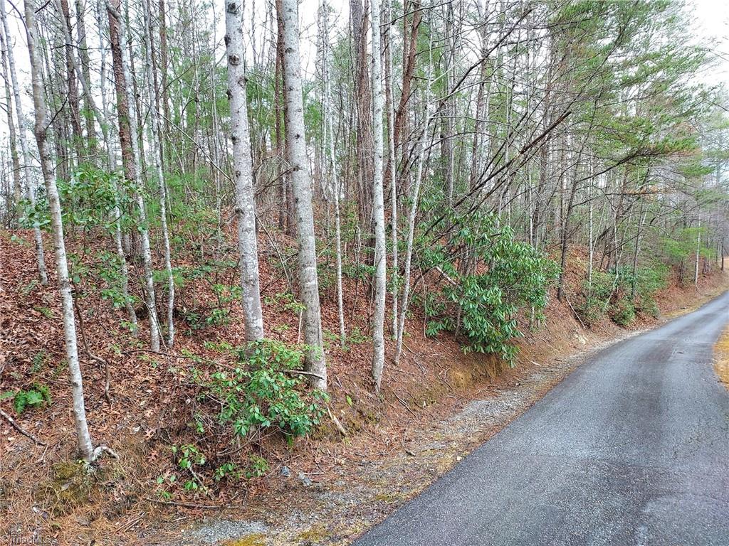 5354 West Ridge Drive Ferguson, NC 28624 - Photo 11 of 26