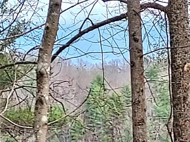 $63,400 | 5354 West Ridge Drive, Ferguson, NC 28624