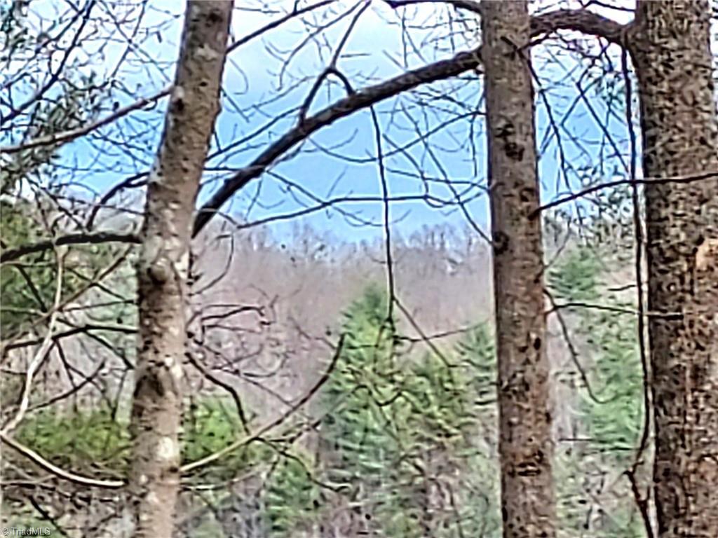 5354 West Ridge Drive Ferguson, NC 28624 - Photo 13 of 26