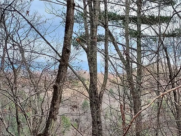 $63,400 | 5354 West Ridge Drive, Ferguson, NC 28624