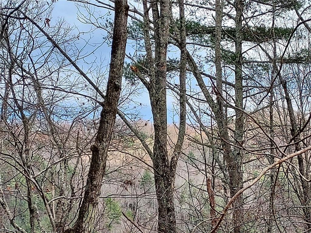 5354 West Ridge Drive Ferguson, NC 28624 - Photo 15 of 26