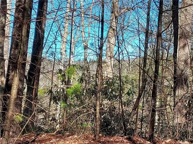 $63,400 | 5354 West Ridge Drive, Ferguson, NC 28624