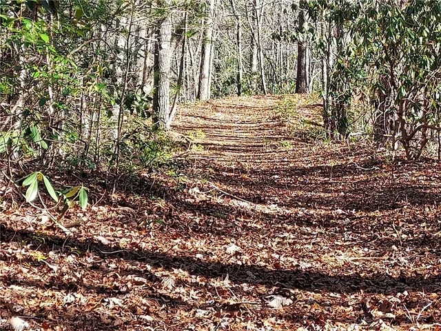 $63,400 | 5354 West Ridge Drive, Ferguson, NC 28624