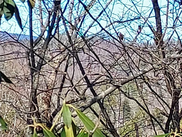 $63,400 | 5354 West Ridge Drive, Ferguson, NC 28624