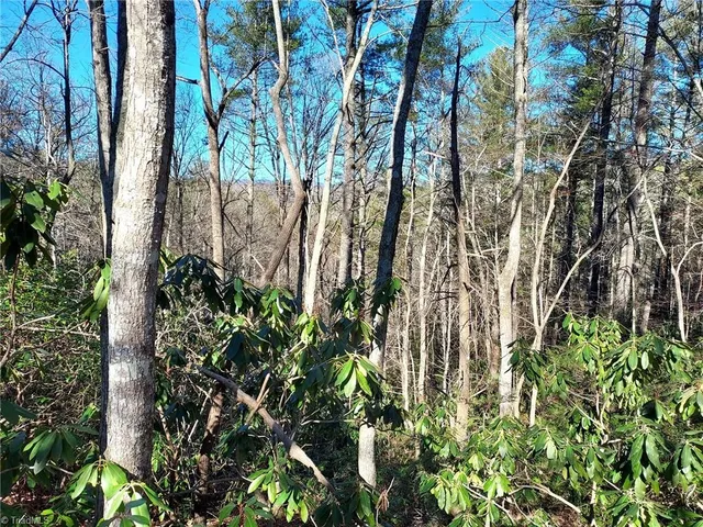 $63,400 | 5354 West Ridge Drive, Ferguson, NC 28624