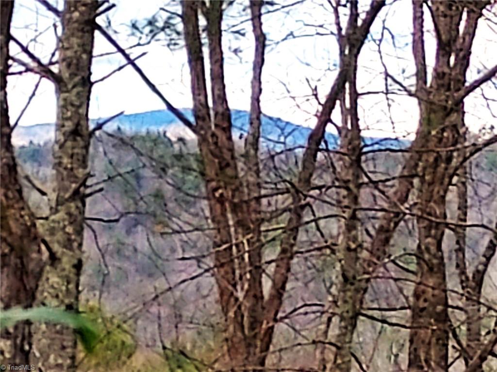 5354 West Ridge Drive Ferguson, NC 28624 - Photo 2 of 26