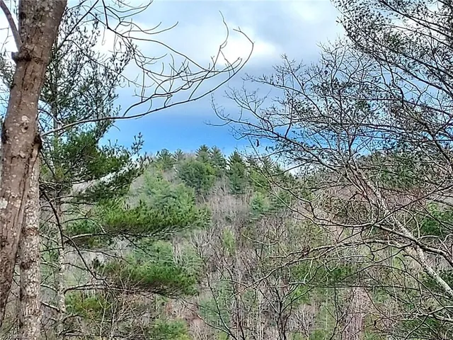 $63,400 | 5354 West Ridge Drive, Ferguson, NC 28624