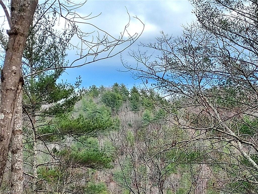 5354 West Ridge Drive Ferguson, NC 28624 - Photo 3 of 26