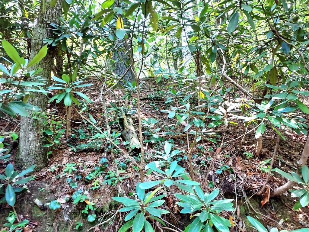 5354 West Ridge Drive Ferguson, NC 28624 - Photo 4 of 26