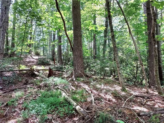 $63,400 | 5354 West Ridge Drive, Ferguson, NC 28624