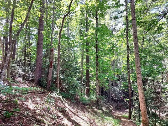 $63,400 | 5354 West Ridge Drive, Ferguson, NC 28624