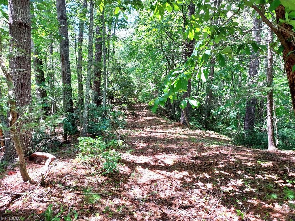 5354 West Ridge Drive Ferguson, NC 28624 - Photo 7 of 26