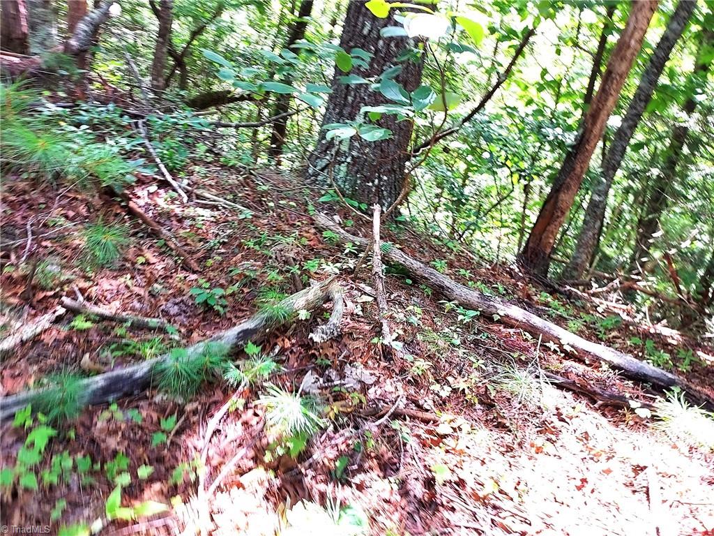 5354 West Ridge Drive Ferguson, NC 28624 - Photo 8 of 26